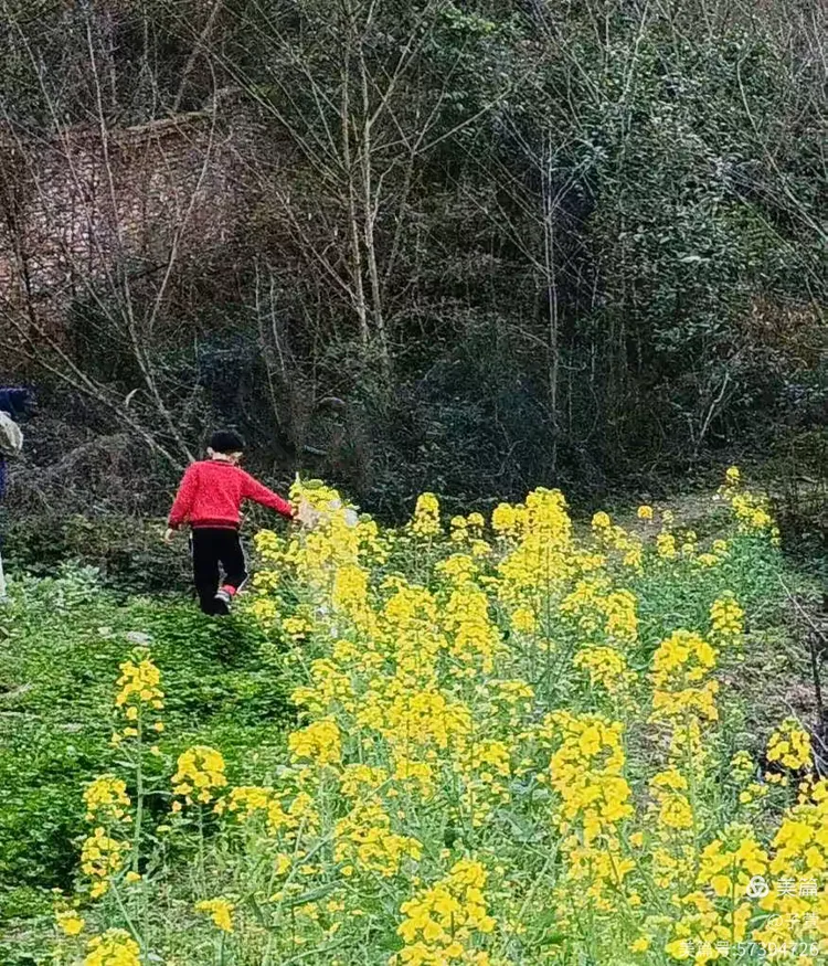 走在乡间小路上（外一首）